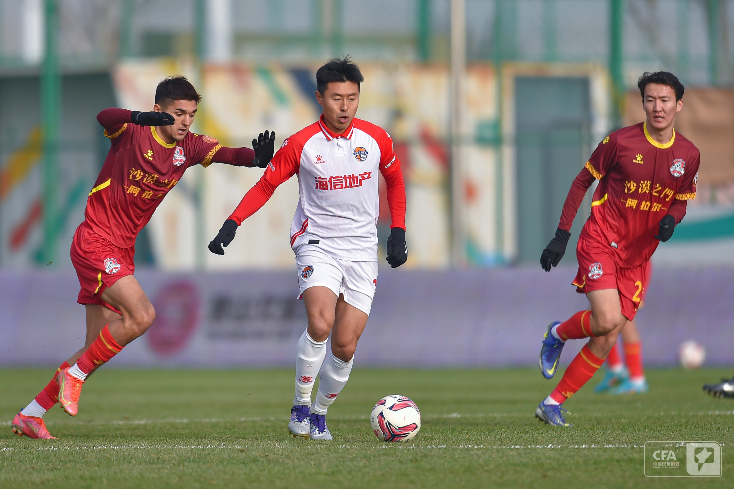 在这20年 在这20年