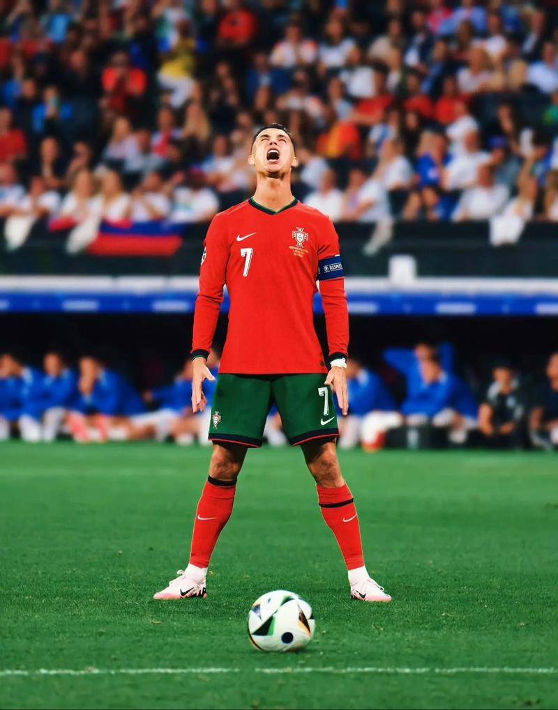 不仅可以提 不仅可以提