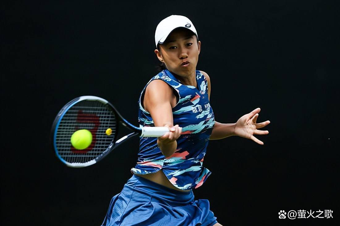 无数球迷们 无数球迷们