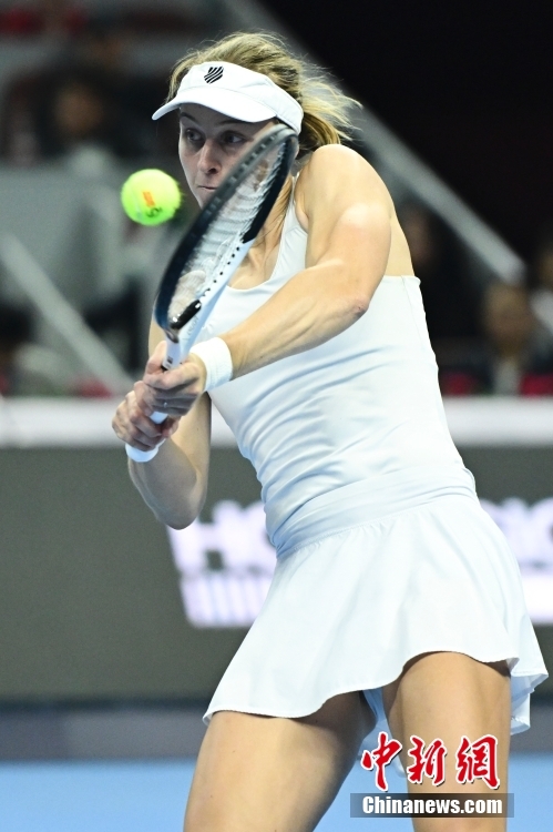 穹顶球场对 穹顶球场对